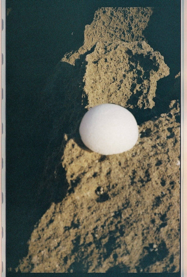 Forah Clear Konjac Sponge