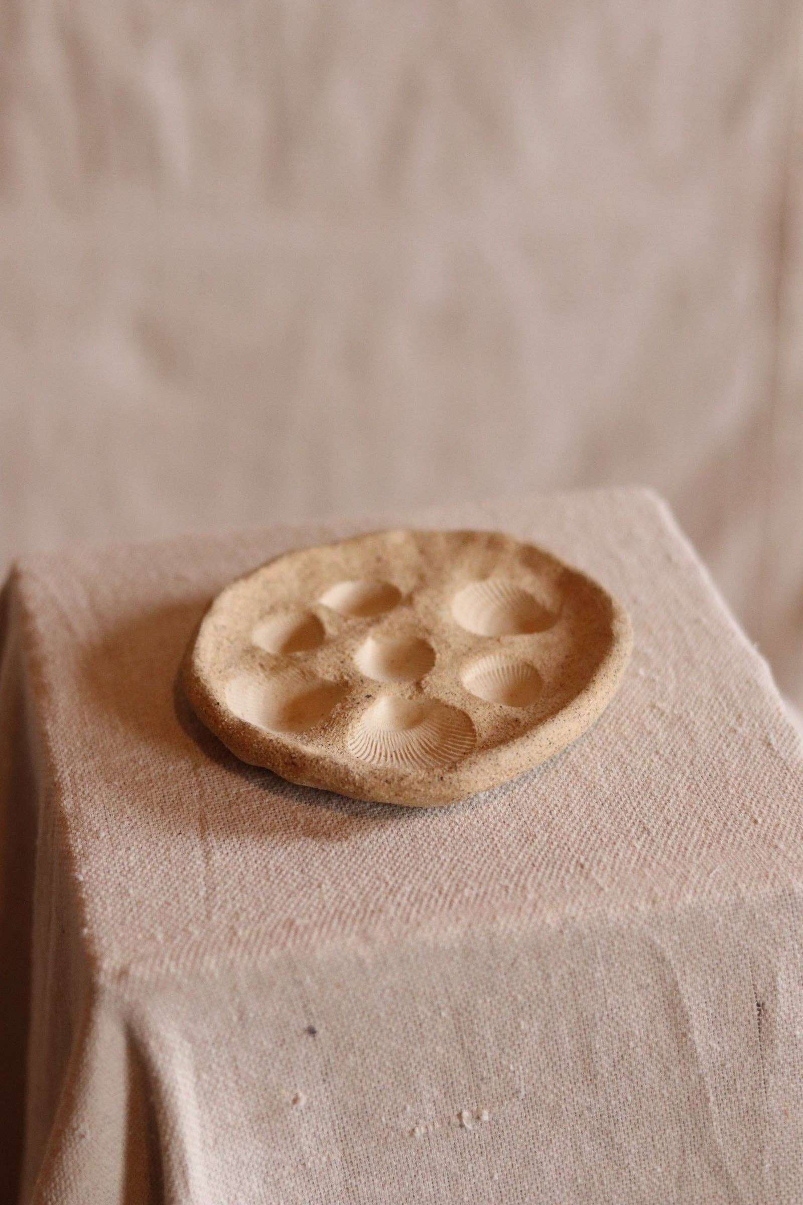 Of the Earth | 4.5" Gathered Earth Seashell Dish - Paloma