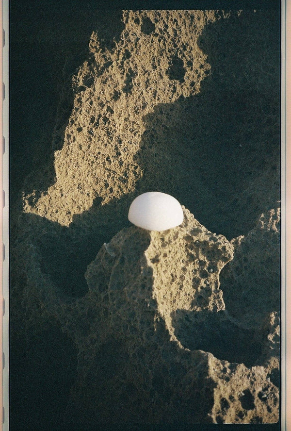 Forah Clear Konjac Sponge