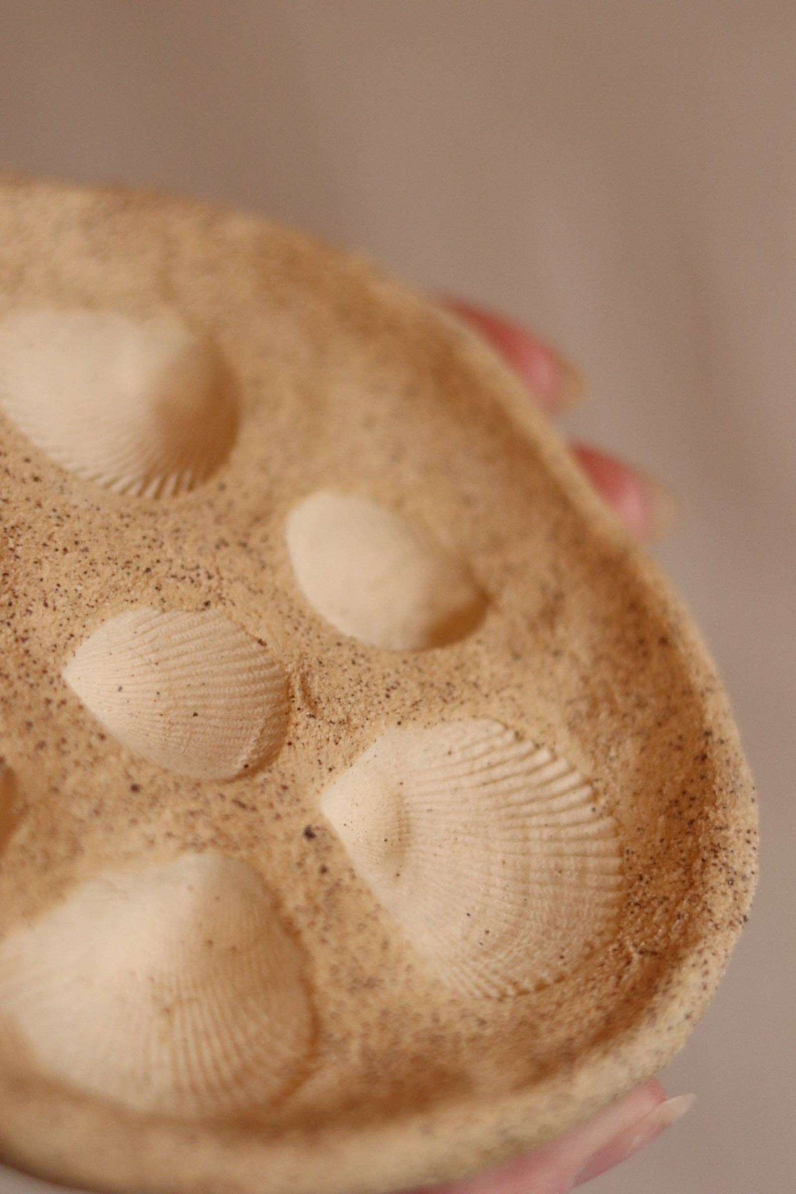 Of the Earth | 4.5" Gathered Earth Seashell Dish - Paloma