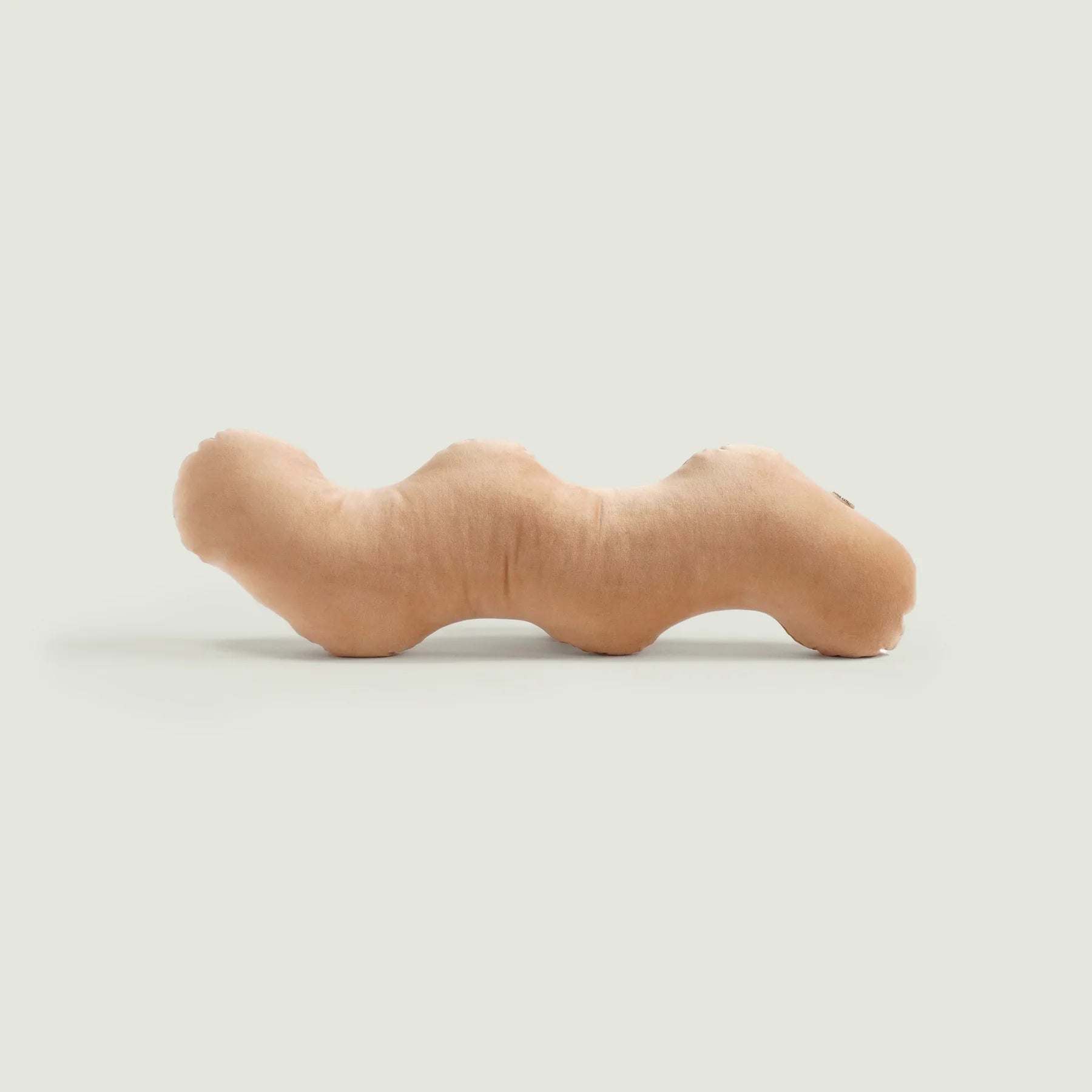 Annie Axtell Wiggle Pillow
