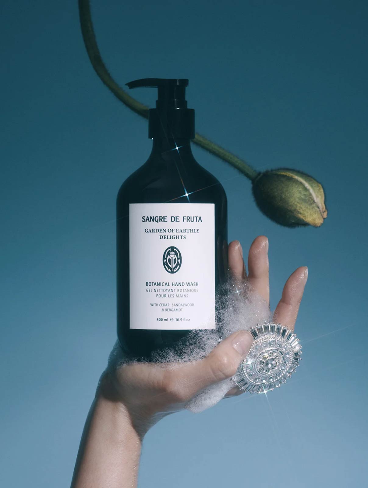 Sangre De Fruta Botanical Hand Wash